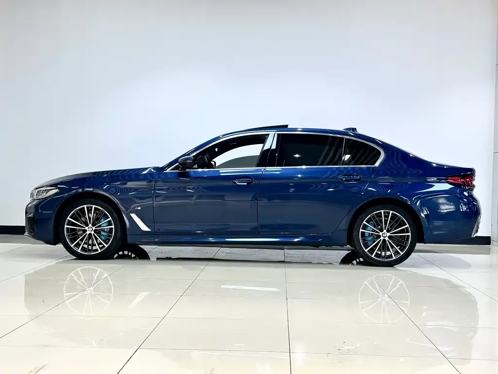 BMW 5 Series 2021 из CN, фото 8