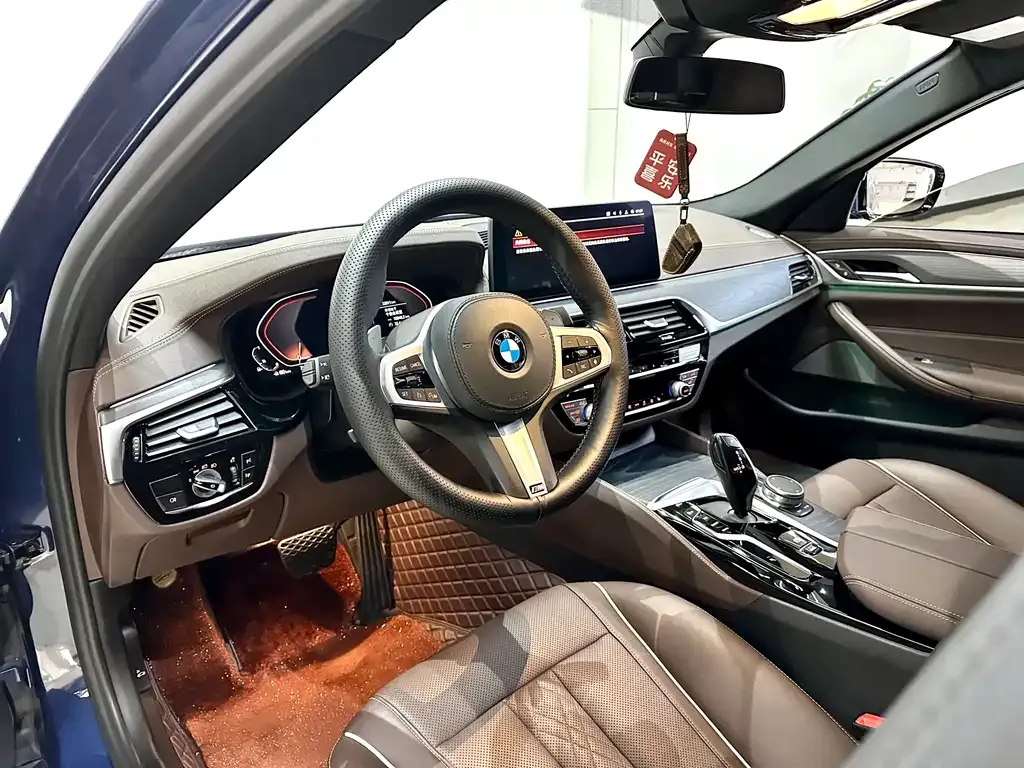 BMW 5 Series 2021 из CN, фото 10
