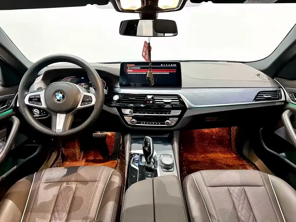 BMW 5 Series 2021 из CN, фото 4