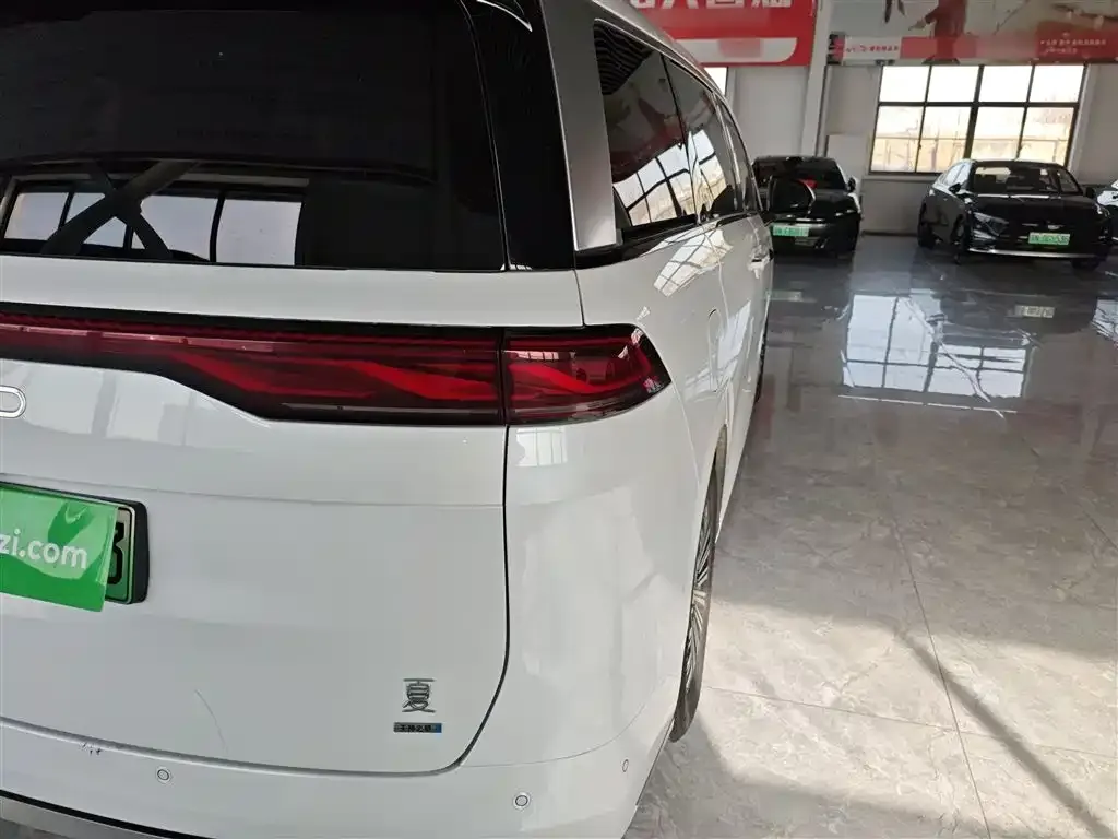 BYD Xia 2025 из CN, фото 4