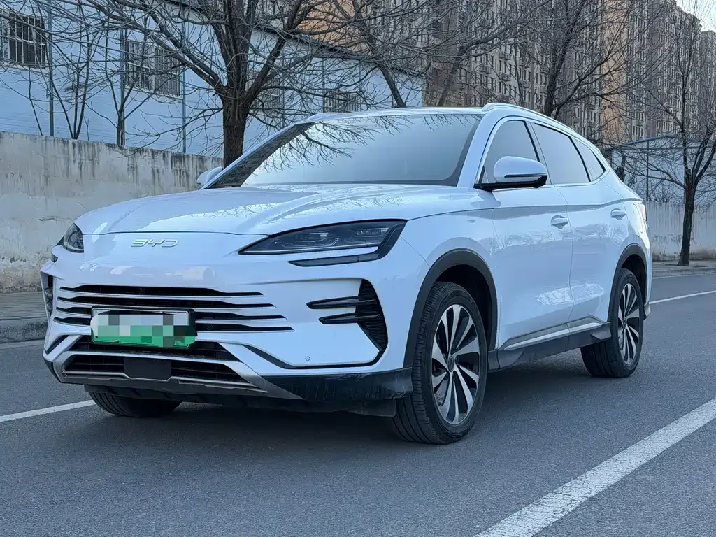 BYD PLUS New Energy — фото 1