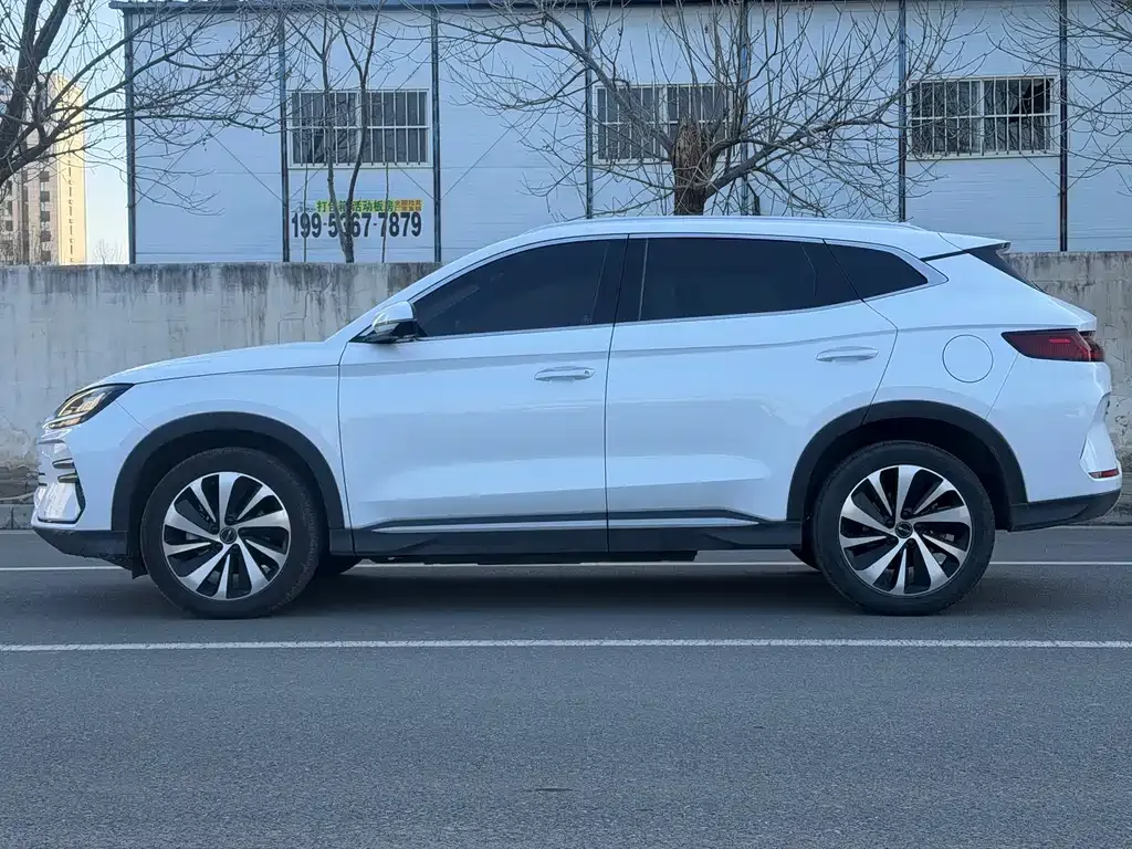 BYD PLUS New Energy — фото 7