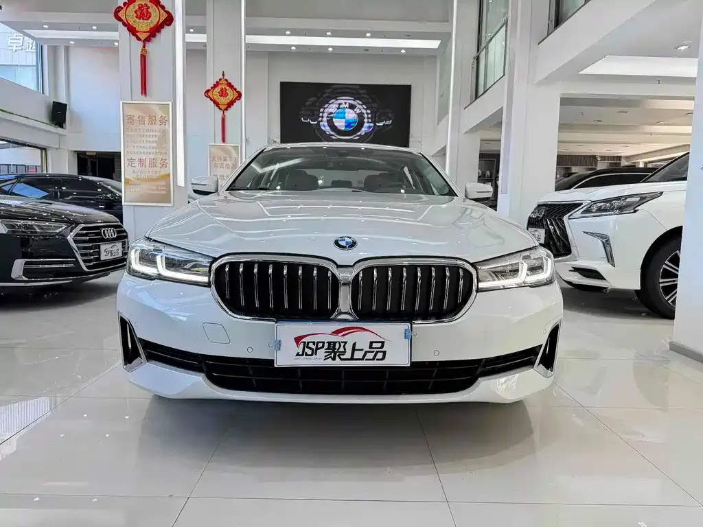 BMW 5 Series 2021 из CN, фото 5