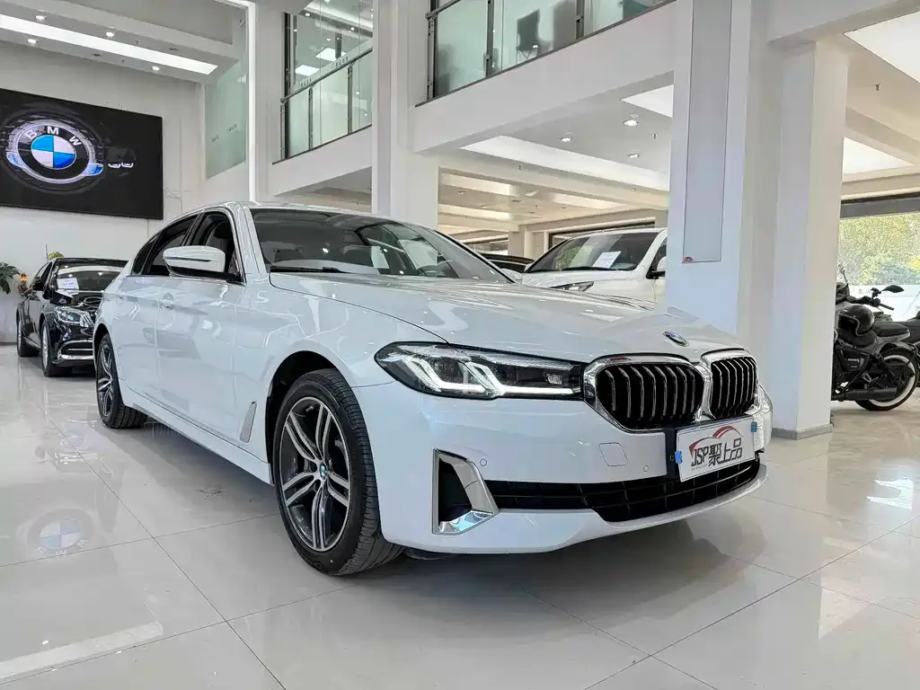BMW 5 Series 2021 из CN, фото 10