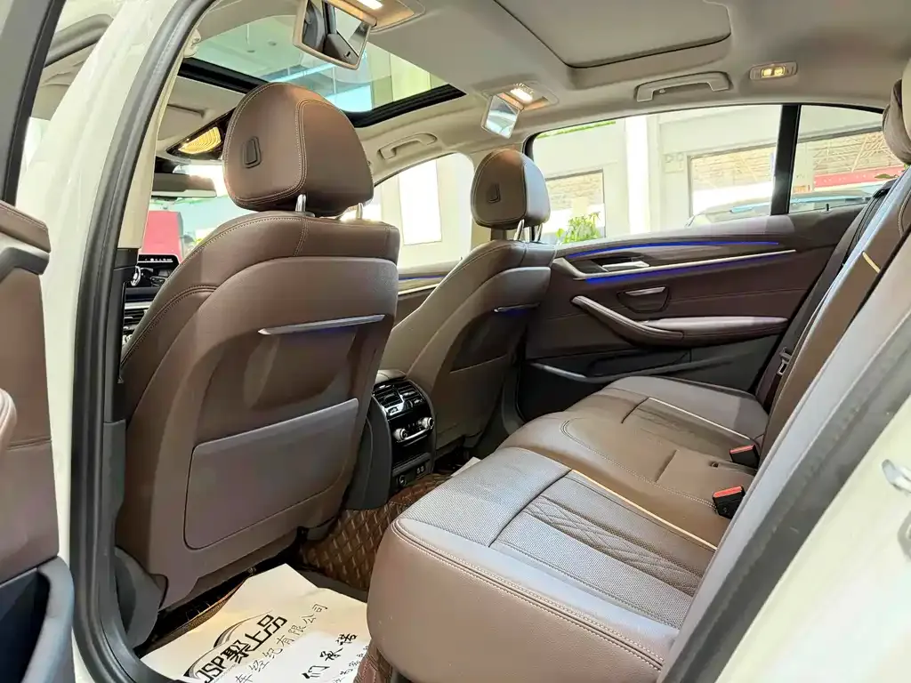 BMW 5 Series 2021 из CN, фото 8