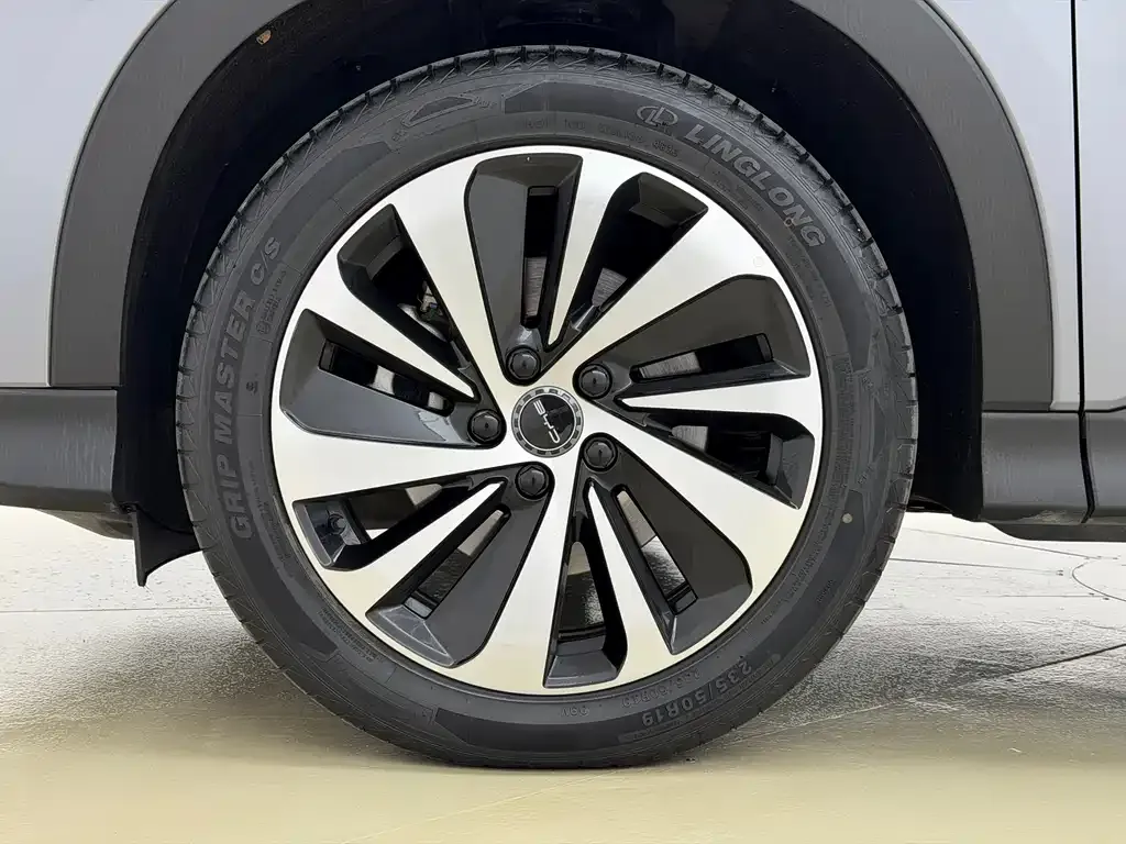 BYD PLUS New Energy 2024 из CN, фото 10