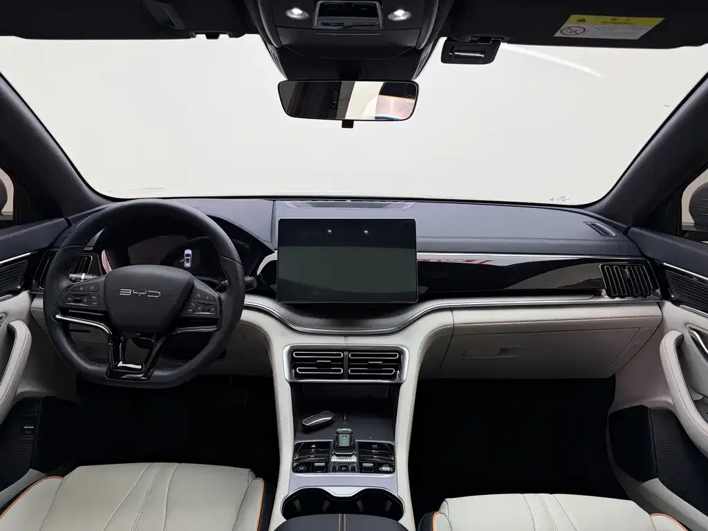 BYD PLUS New Energy 2024 из CN, фото 5