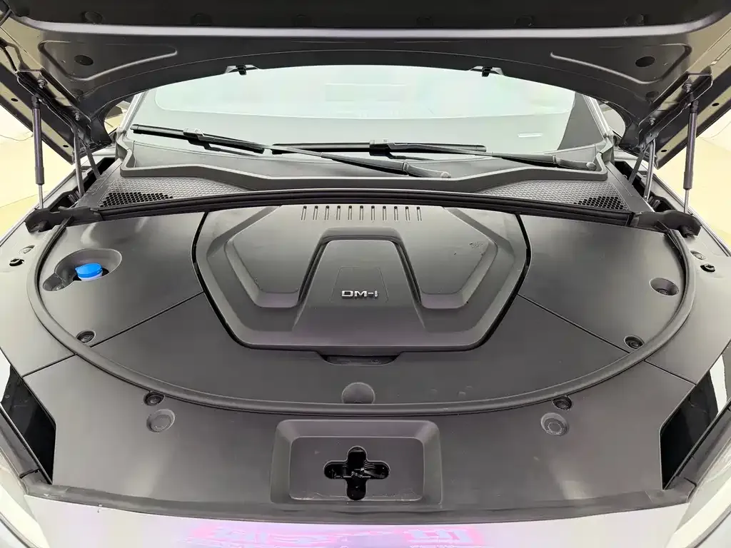 BYD PLUS New Energy 2024 из CN, фото 6