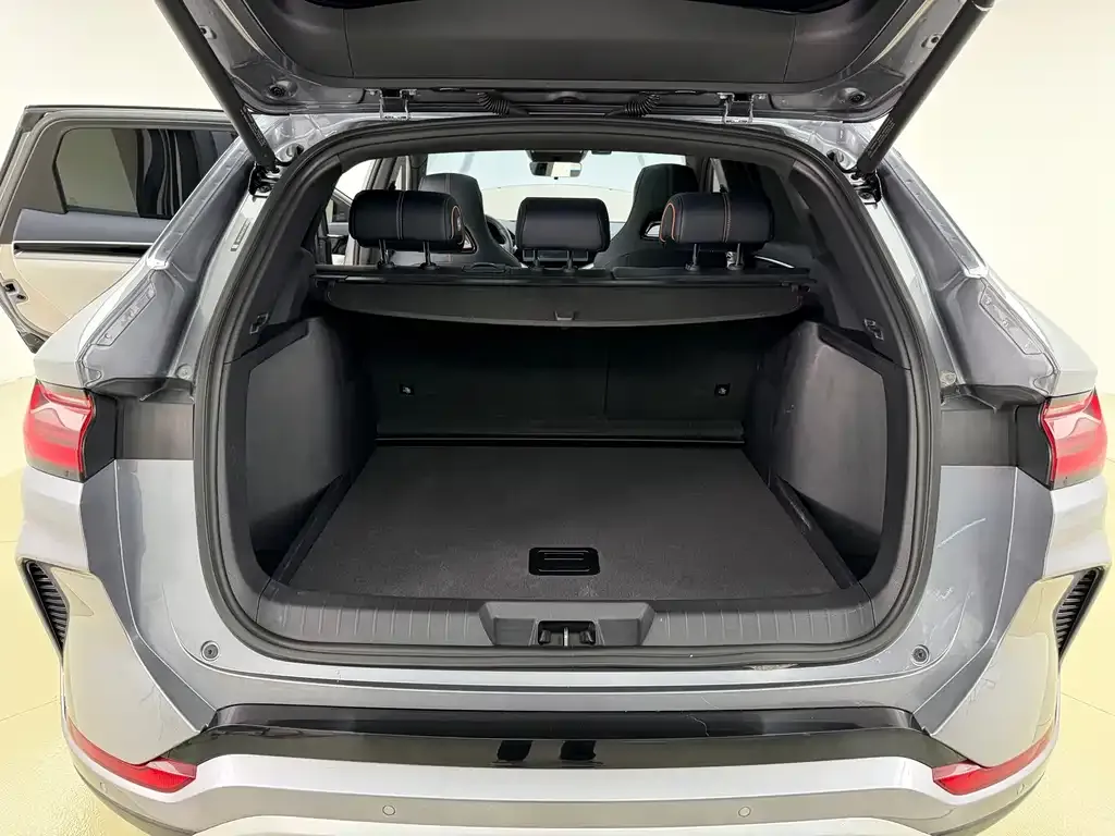 BYD PLUS New Energy 2024 из CN, фото 9