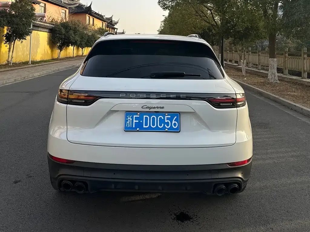 Porsche Cayenne 2023 из CN, фото 7