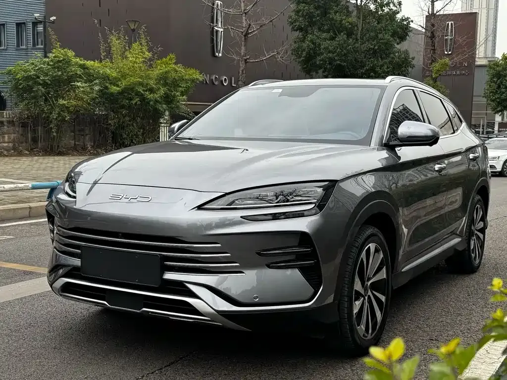 BYD PLUS New Energy — фото 1