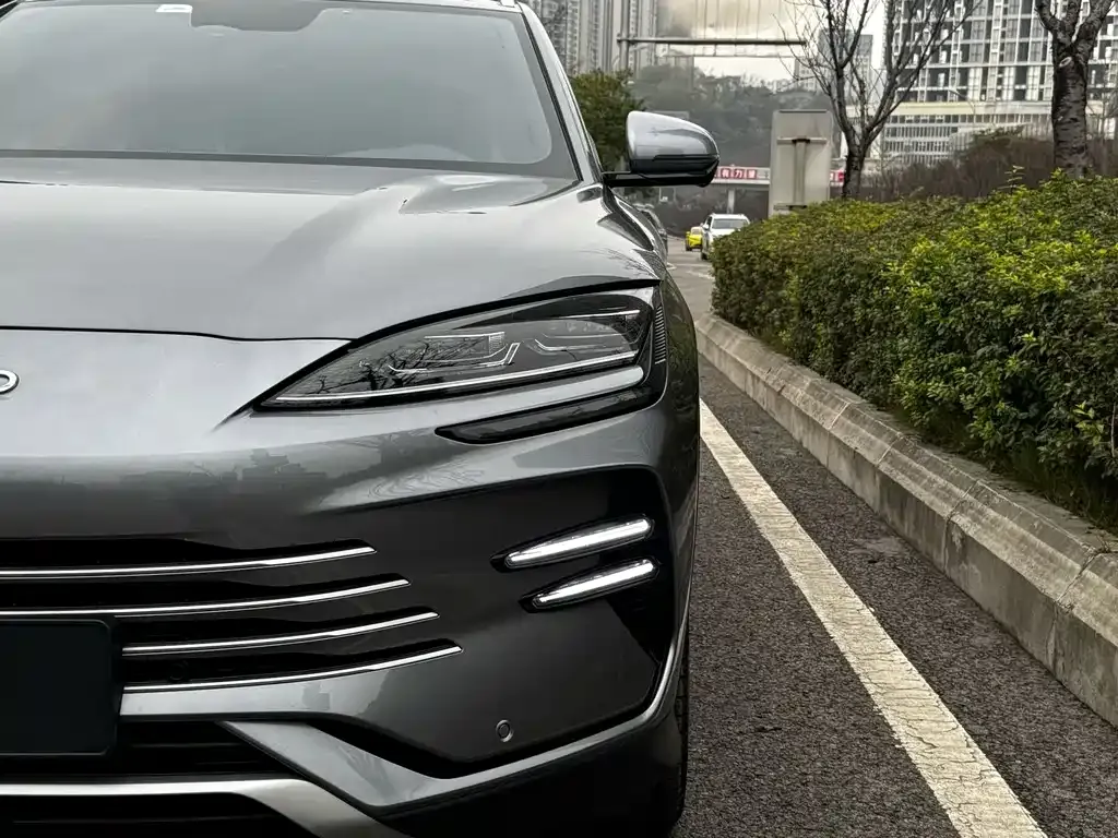 BYD PLUS New Energy — фото 2
