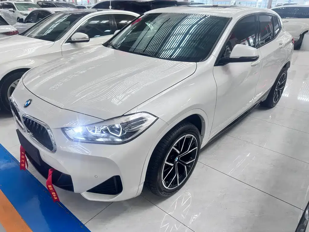 BMW X2 — фото 1