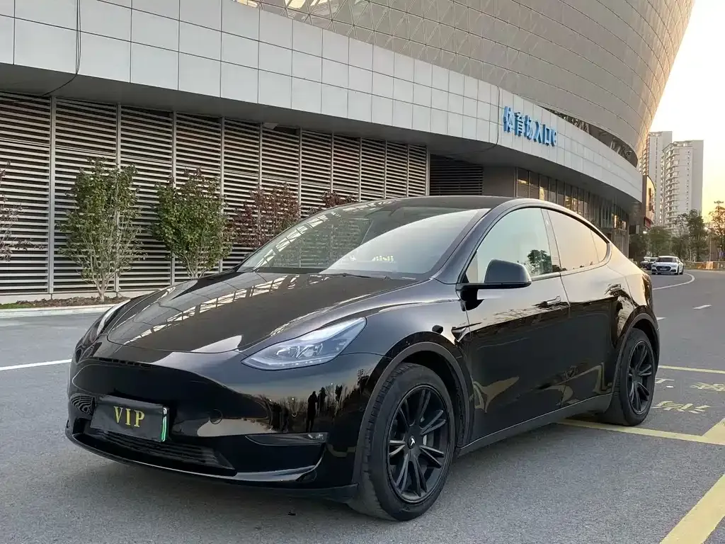 Tesla Model Y 2022 из CN, фото 1