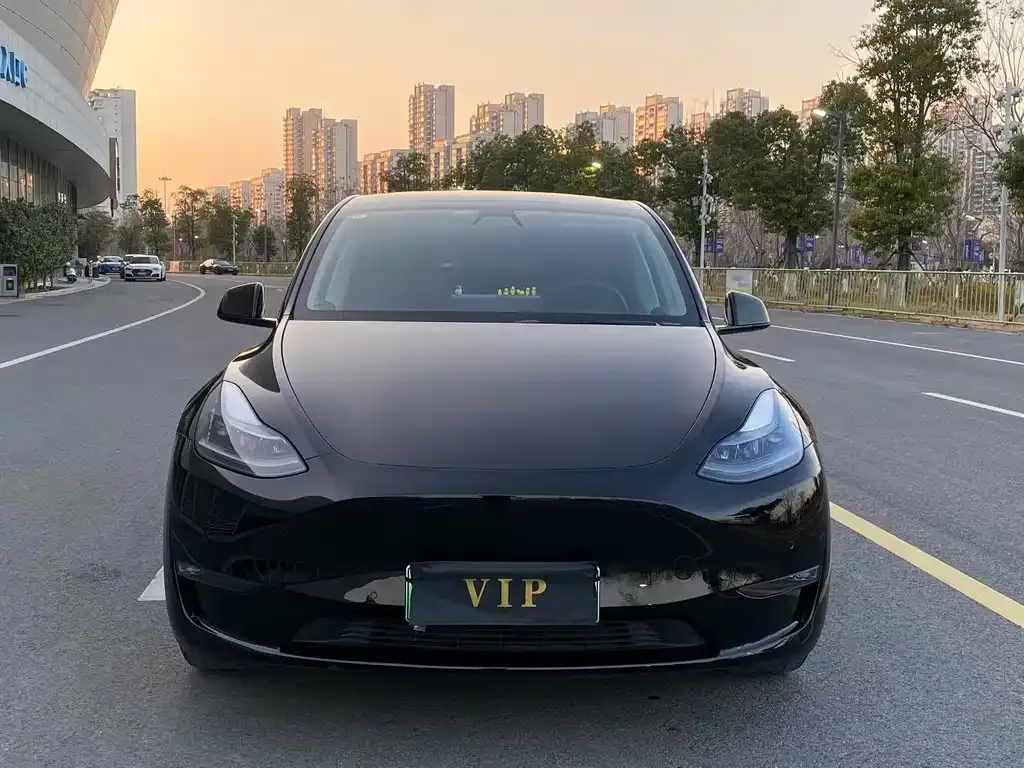 Tesla Model Y 2022 из CN, фото 5