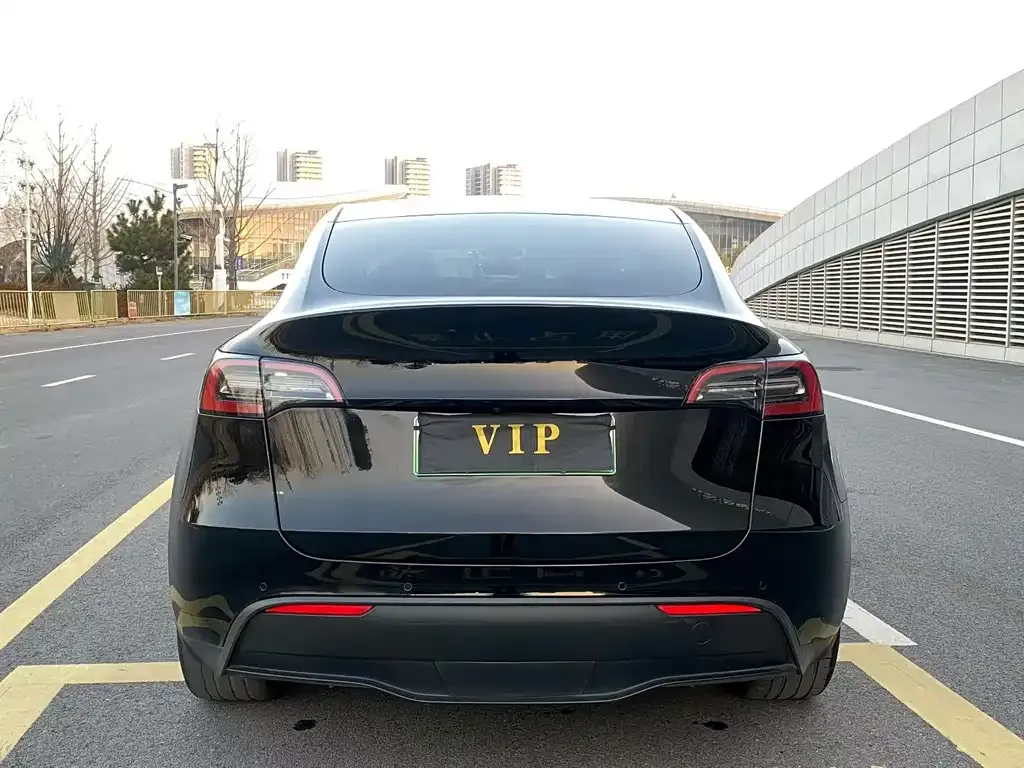 Tesla Model Y 2022 из CN, фото 4