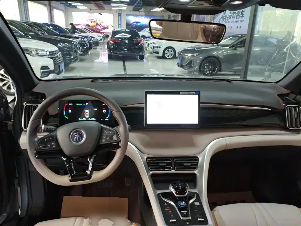 BYD Pro New Energy — фото 10