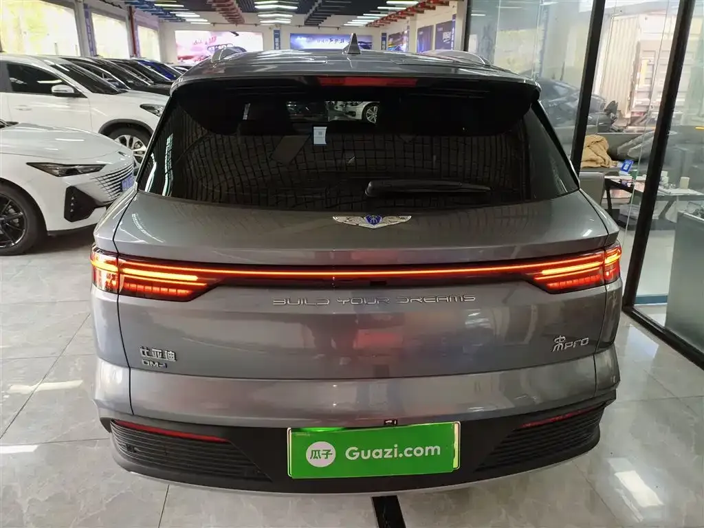 BYD Pro New Energy — фото 7