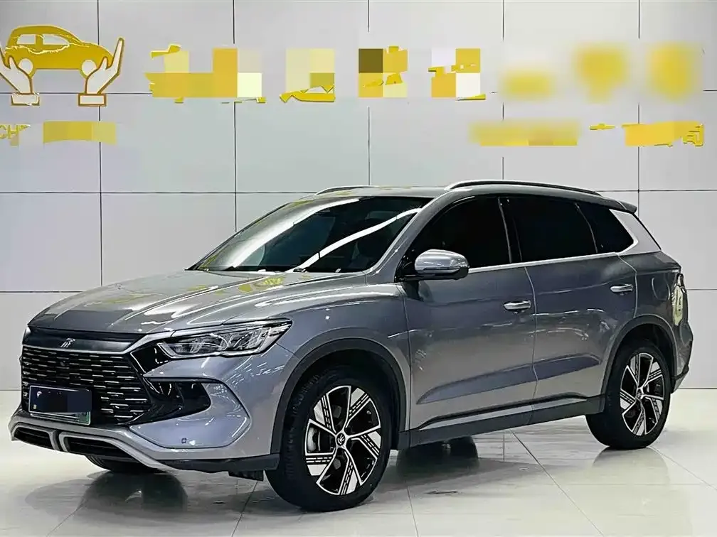 BYD Pro New Energy — фото 10