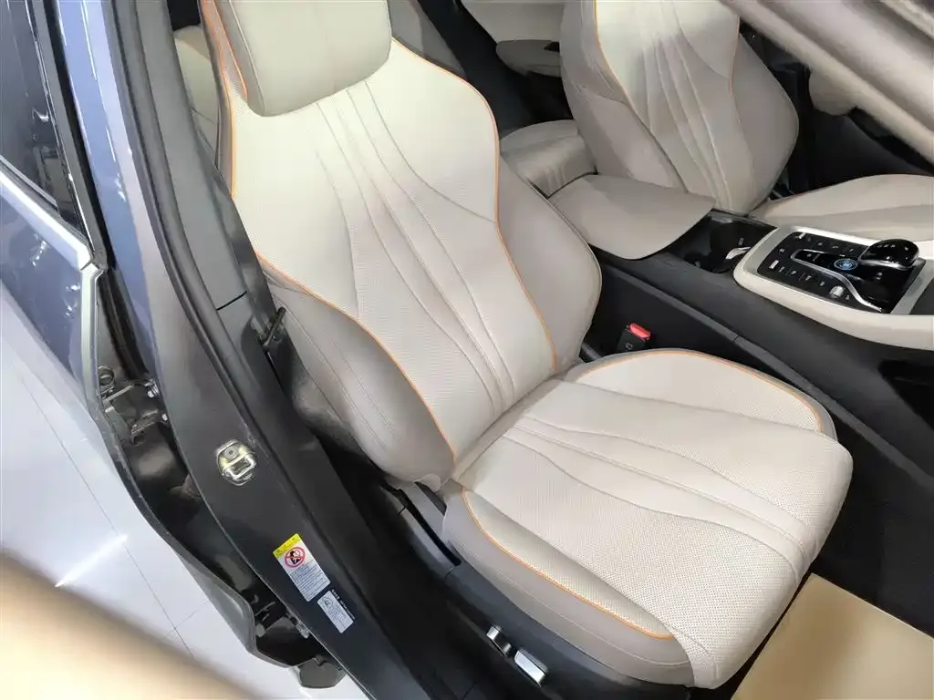 BYD Pro New Energy — фото 4