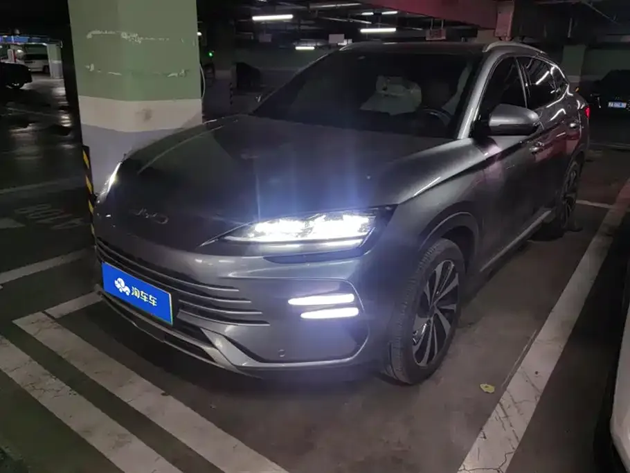 BYD PLUS New Energy — фото 1