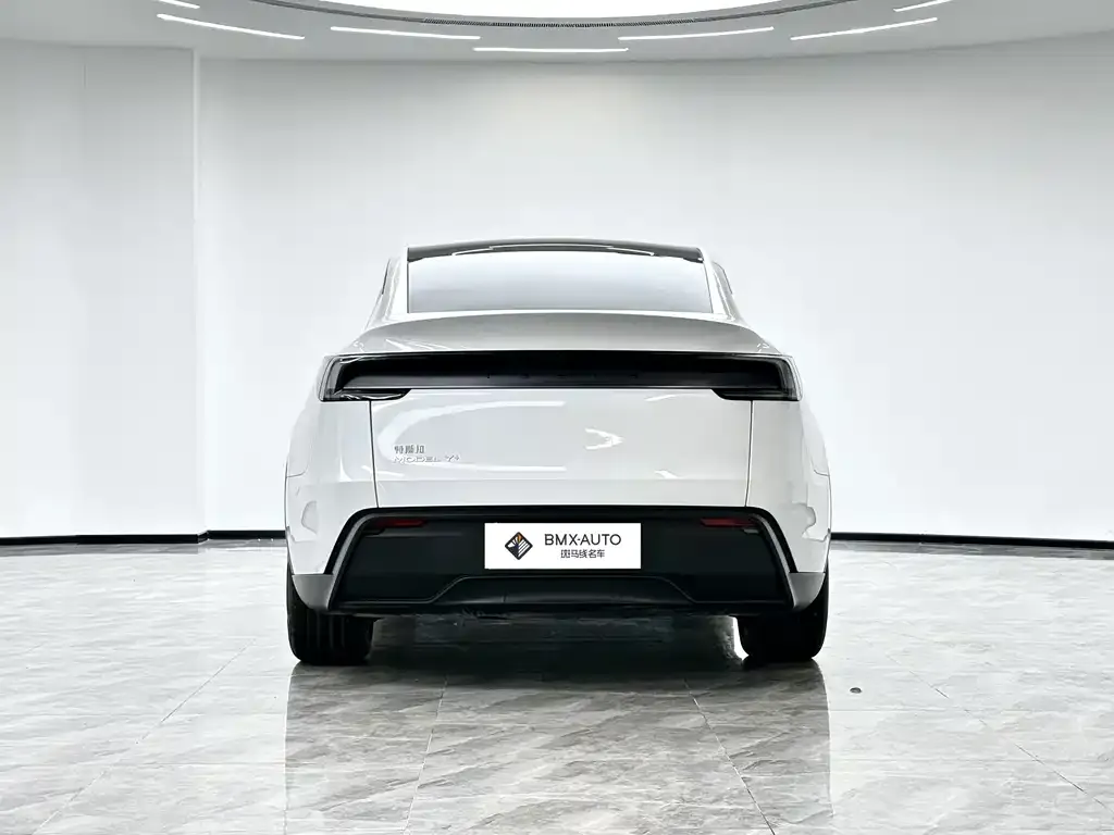 Tesla Model Y — фото 10