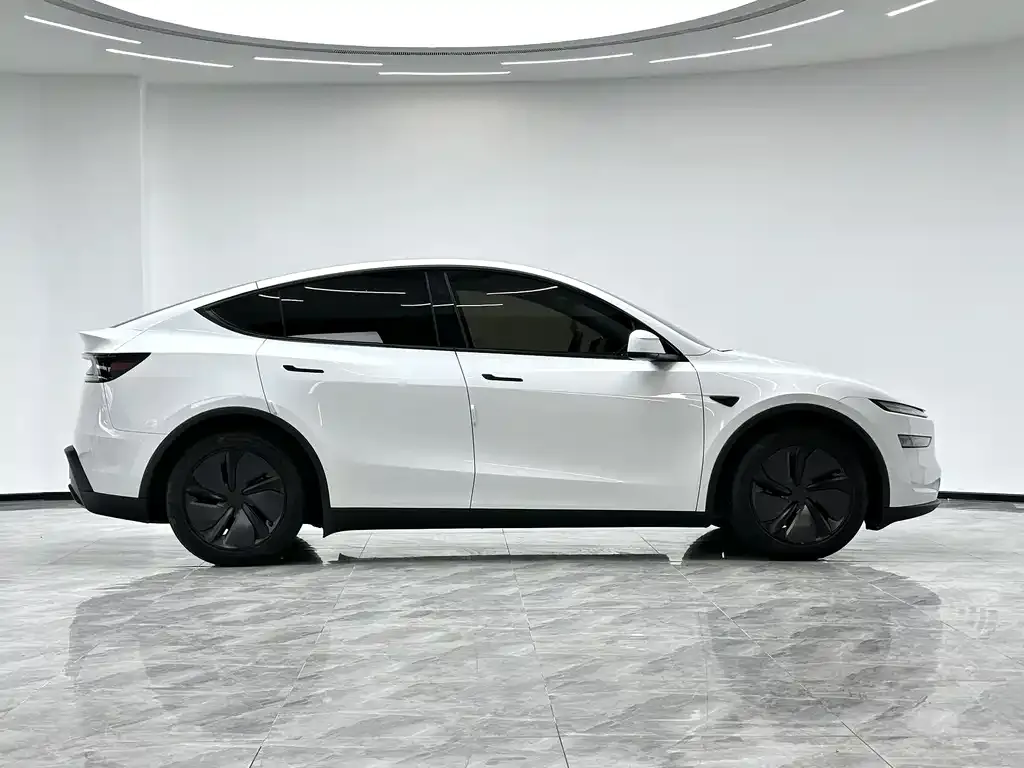 Tesla Model Y — фото 5