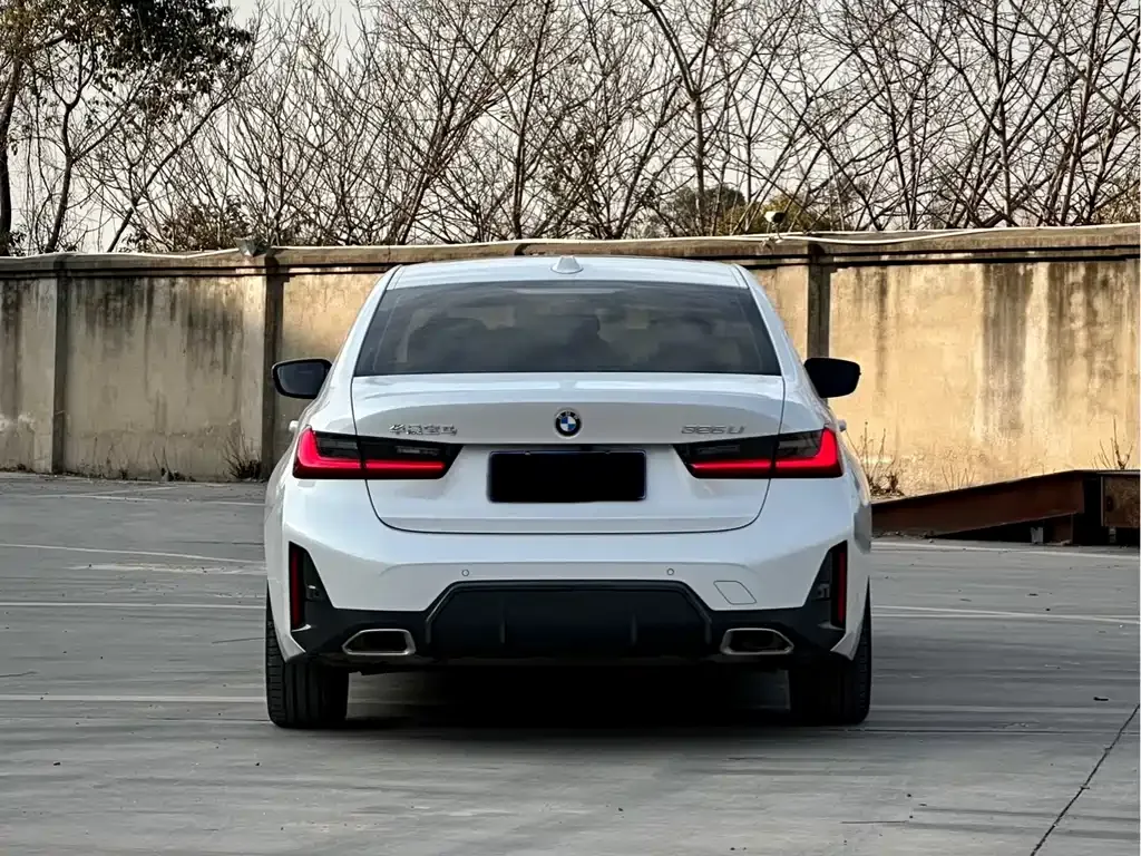 BMW 3 Series 2024 из CN, фото 8