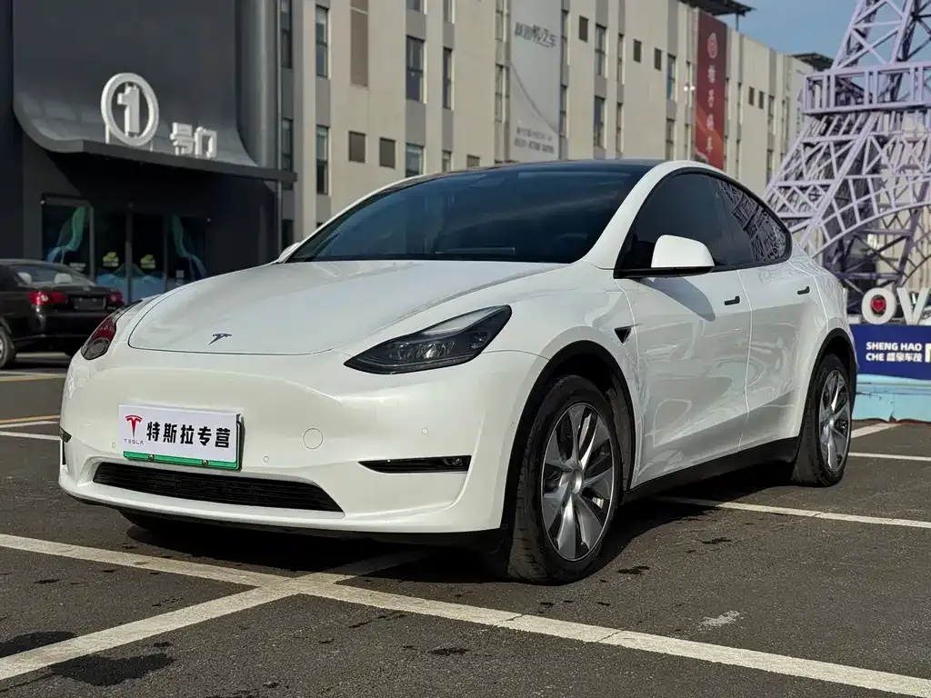 Tesla Model Y — фото 1