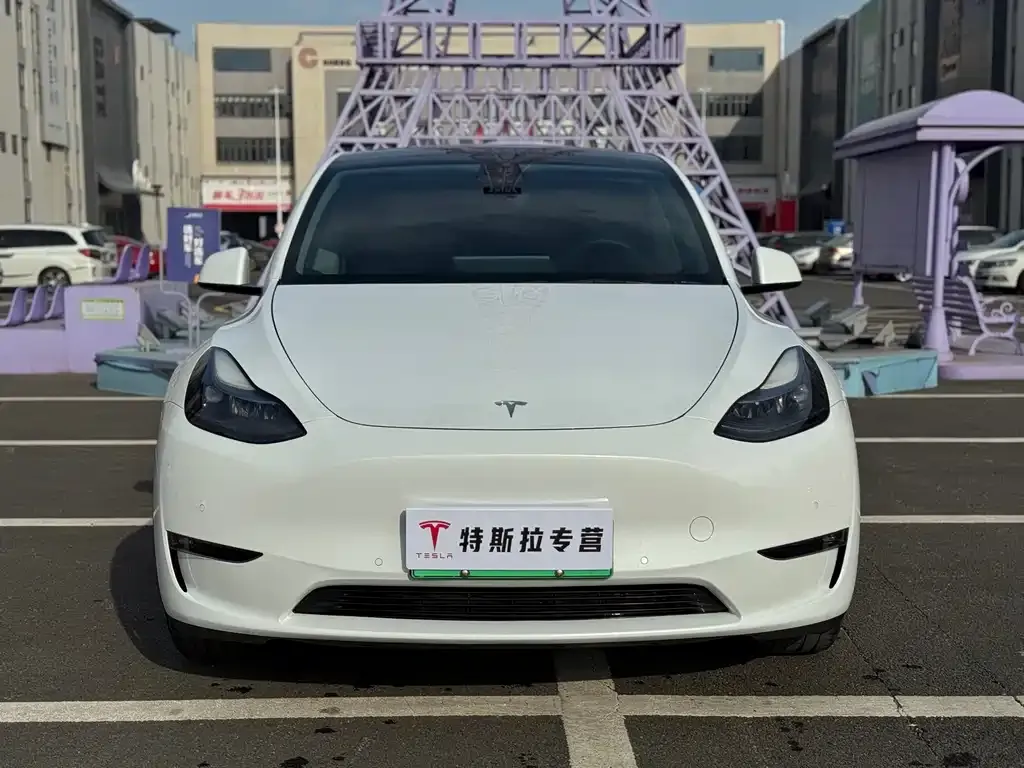 Tesla Model Y — фото 6