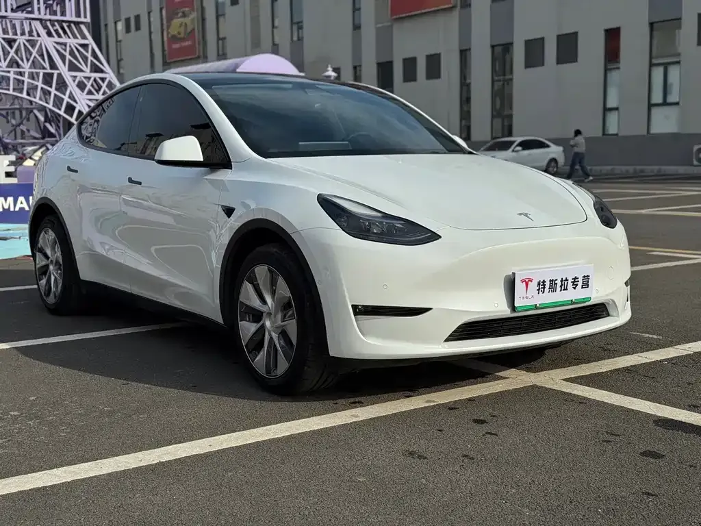 Tesla Model Y — фото 9
