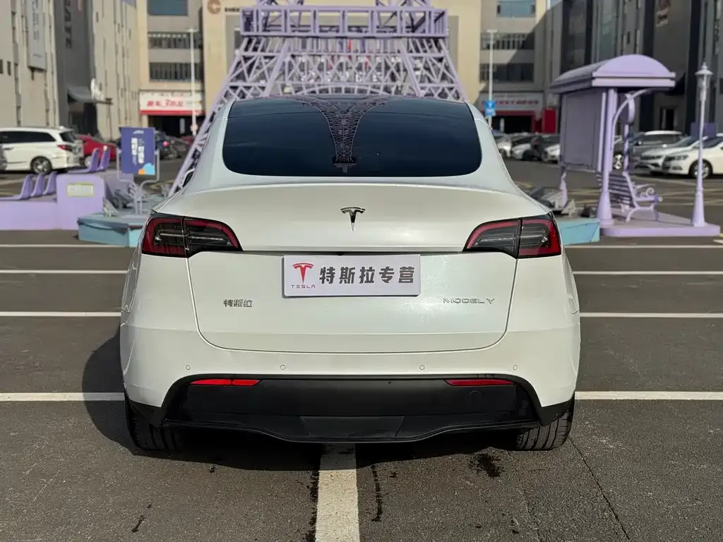 Tesla Model Y — фото 8