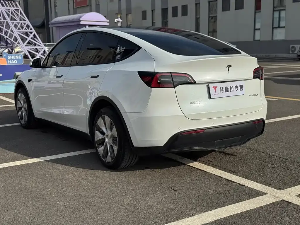 Tesla Model Y — фото 10
