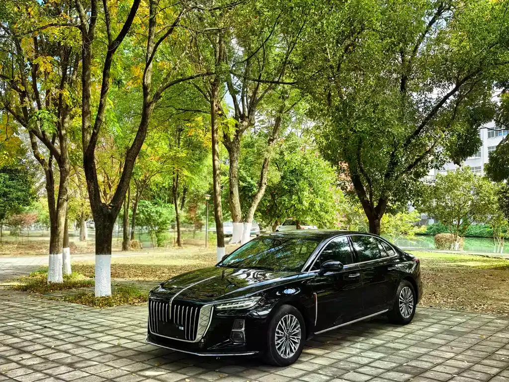 Hongqi H5 2024 из CN, фото 1