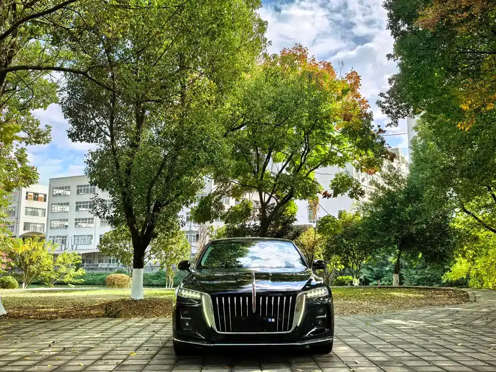 Hongqi H5 2024 из CN, фото 2