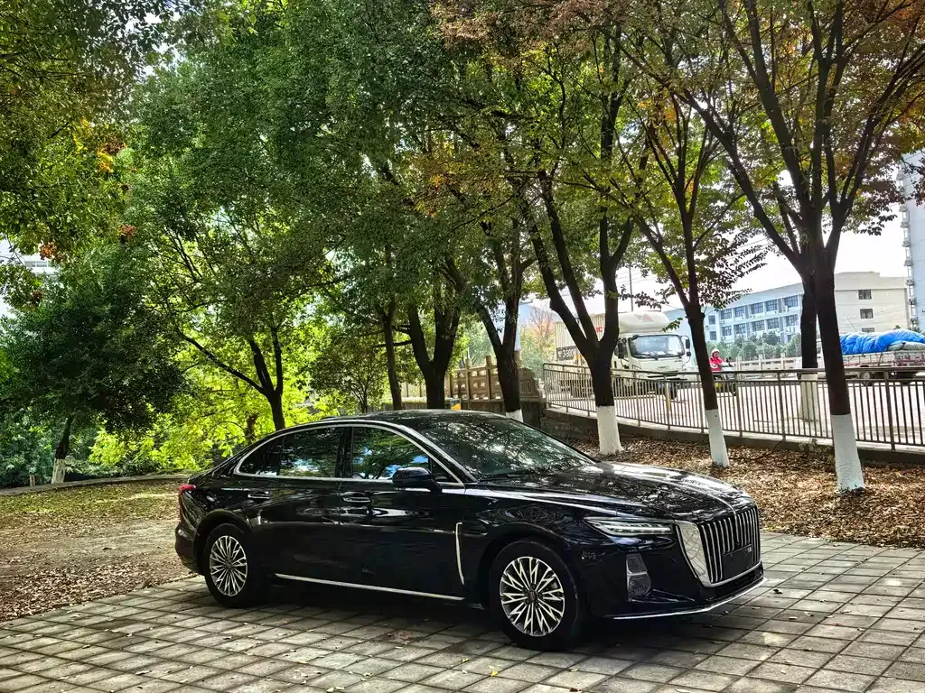 Hongqi H5 2024 из CN, фото 3