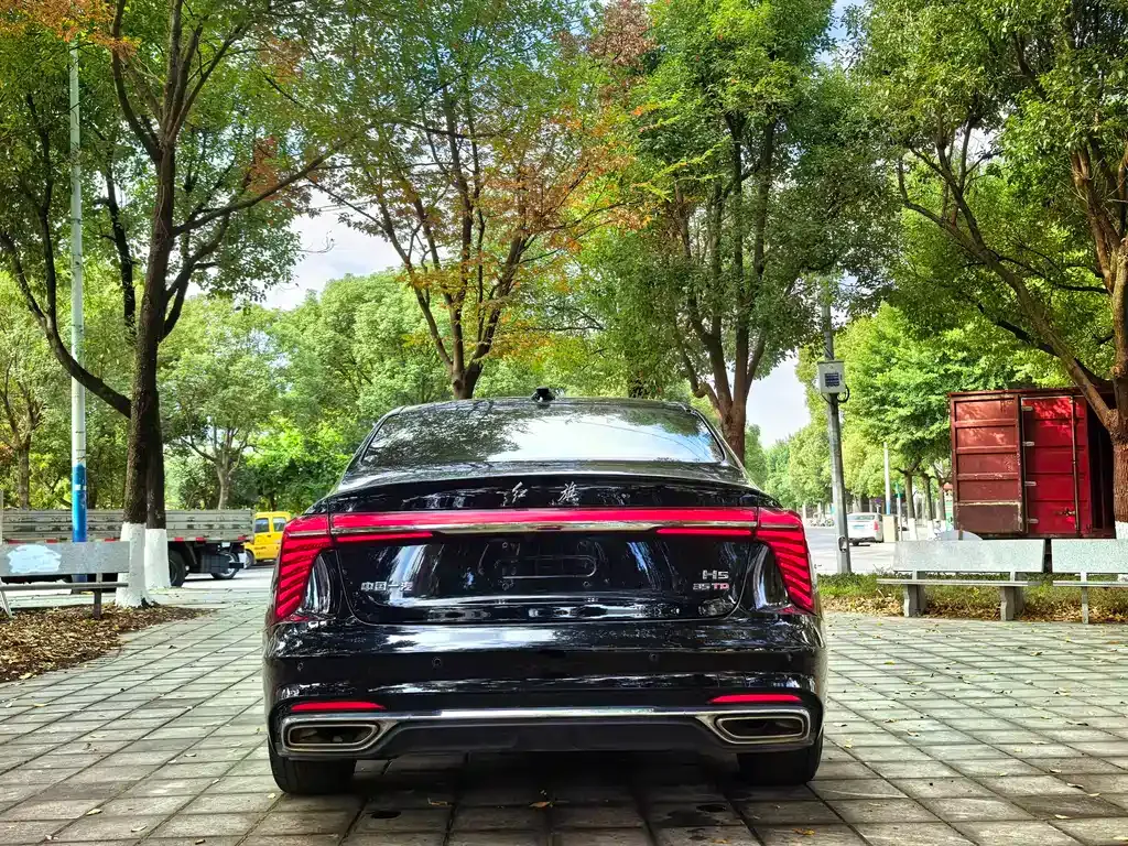 Hongqi H5 2024 из CN, фото 4