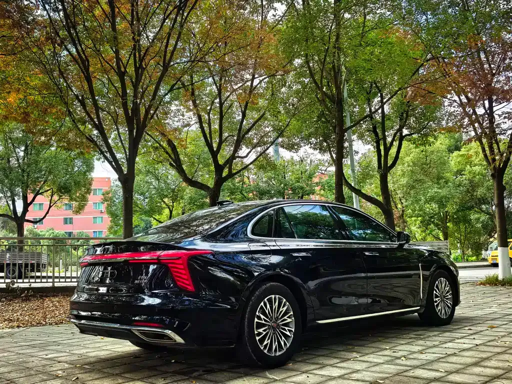 Hongqi H5 2024 из CN, фото 5