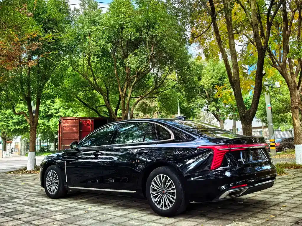 Hongqi H5 2024 из CN, фото 6