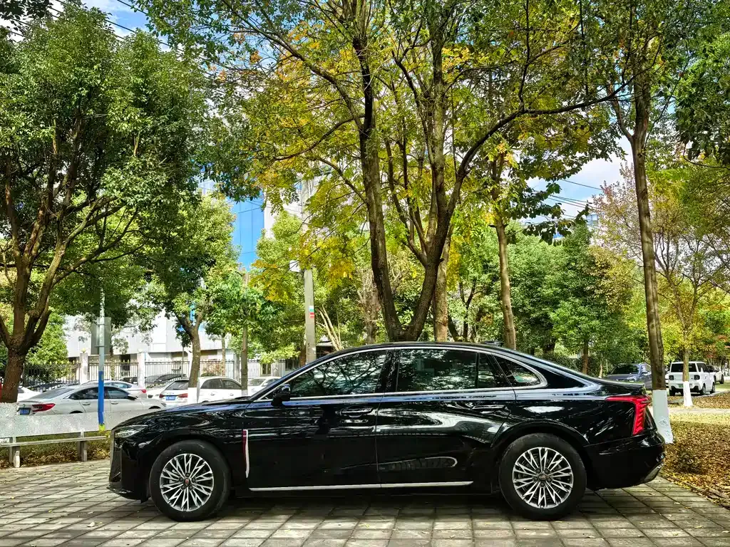 Hongqi H5 2024 из CN, фото 7
