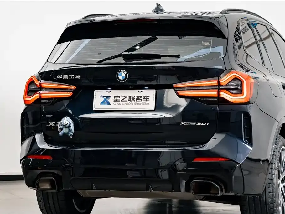 BMW X3 2024 из CN, фото 3