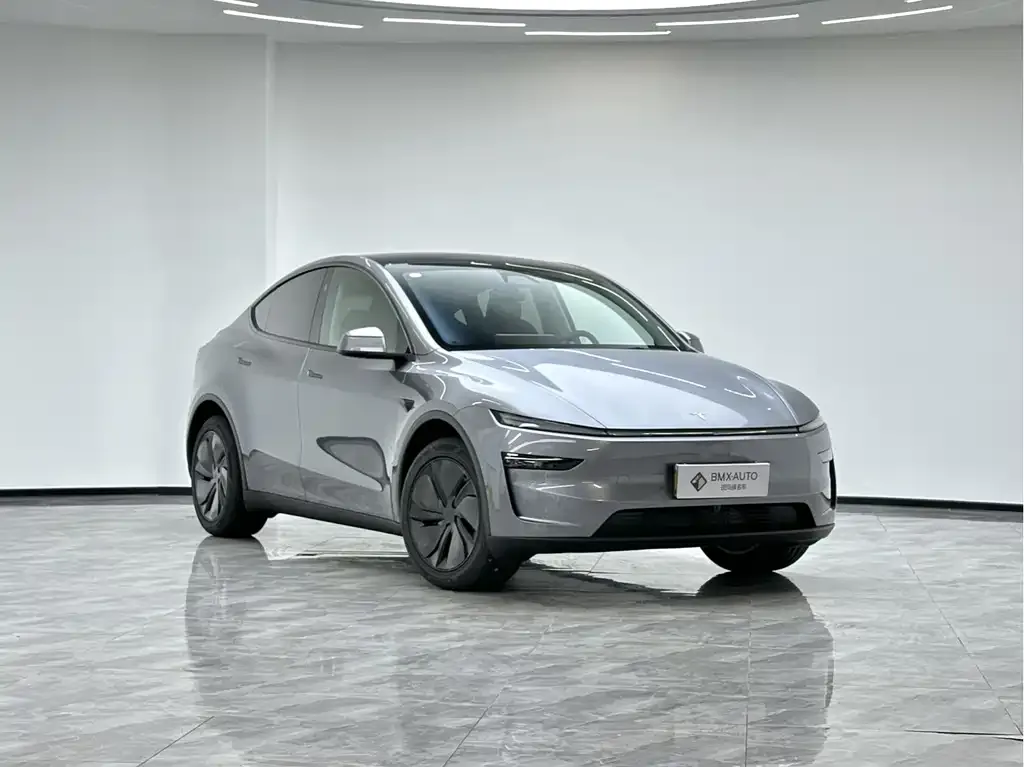 Tesla Model Y — фото 2