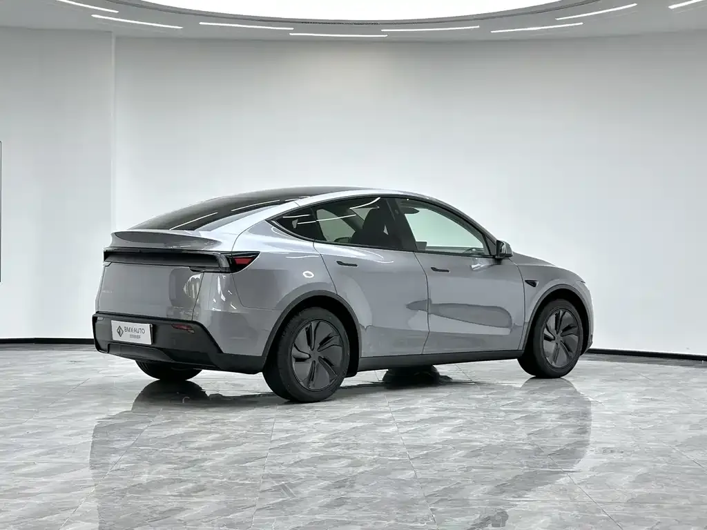 Tesla Model Y — фото 9