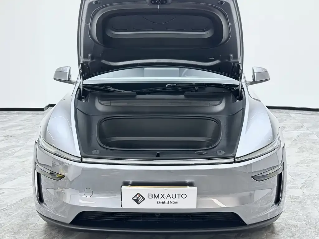 Tesla Model Y — фото 10