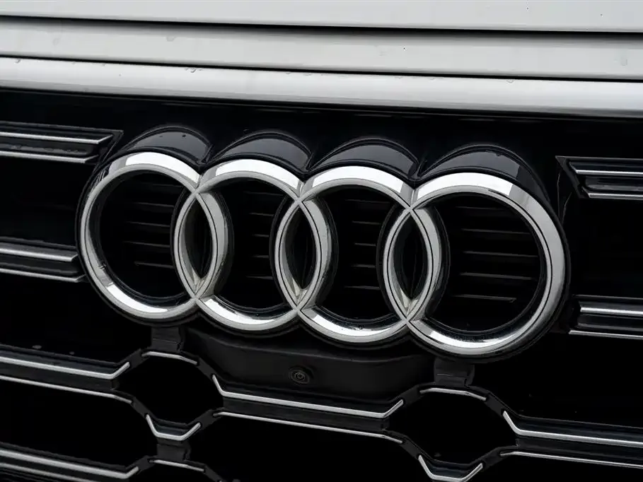 Audi Q5L — фото 8