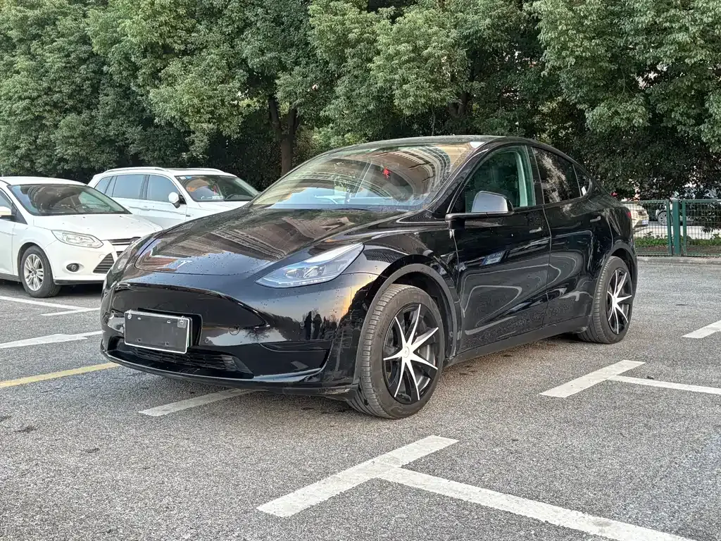 Tesla Model Y 2022 из CN, фото 1