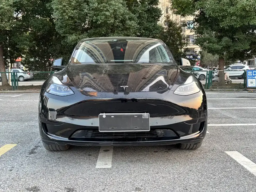 Tesla Model Y 2022 из CN, фото 8