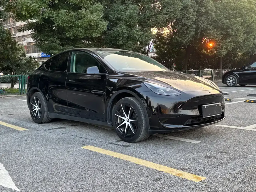 Tesla Model Y 2022 из CN, фото 2