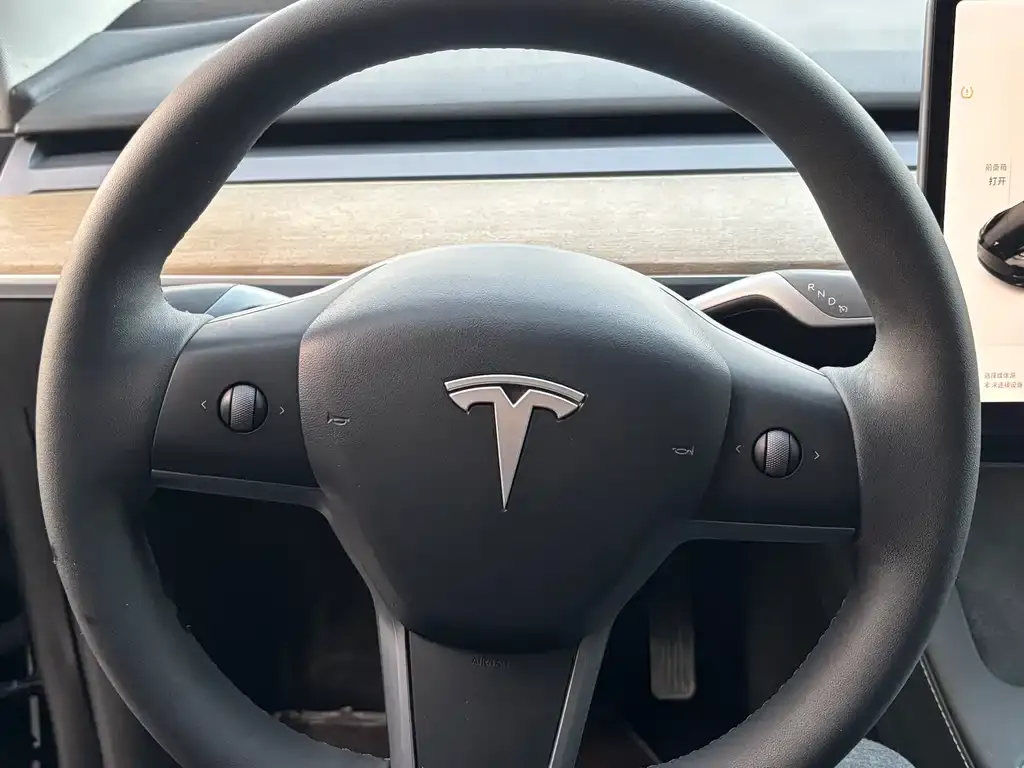 Tesla Model Y 2022 из CN, фото 6