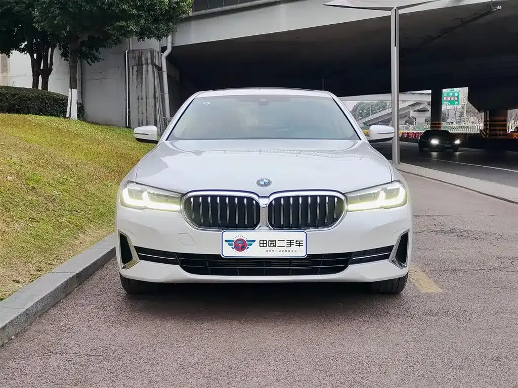 BMW 5 Series 2024 из CN, фото 9